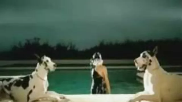 Po wypiciu wody zdjęła stanik i pokazała mi swoją cipkę, swoje filmy erotyczne amatorki ciało.